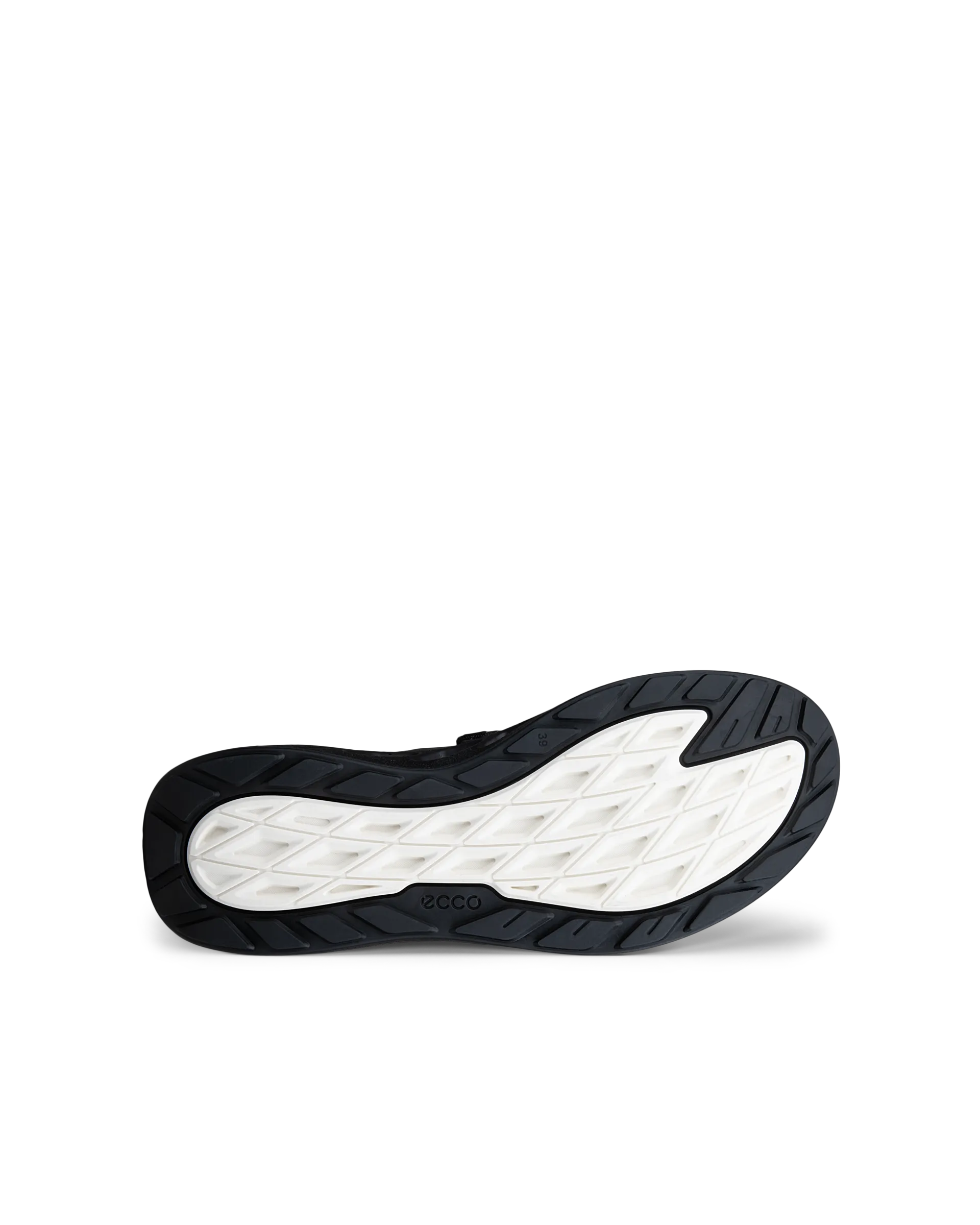 41